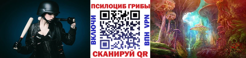 Галлюциногенные грибы Psilocybine cubensis  MEGA ссылки  Семикаракорск 
